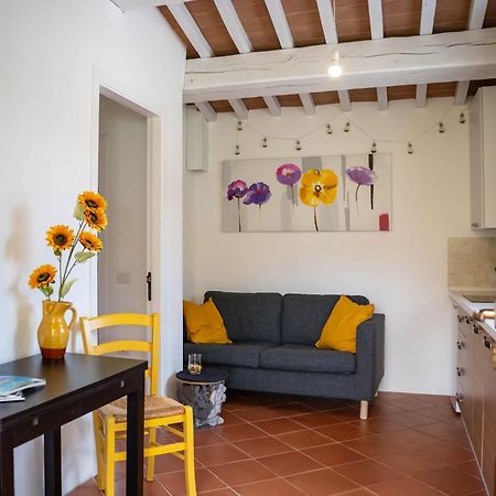 Agriturismo Il Castellaro Sassoferrato Exteriér fotografie