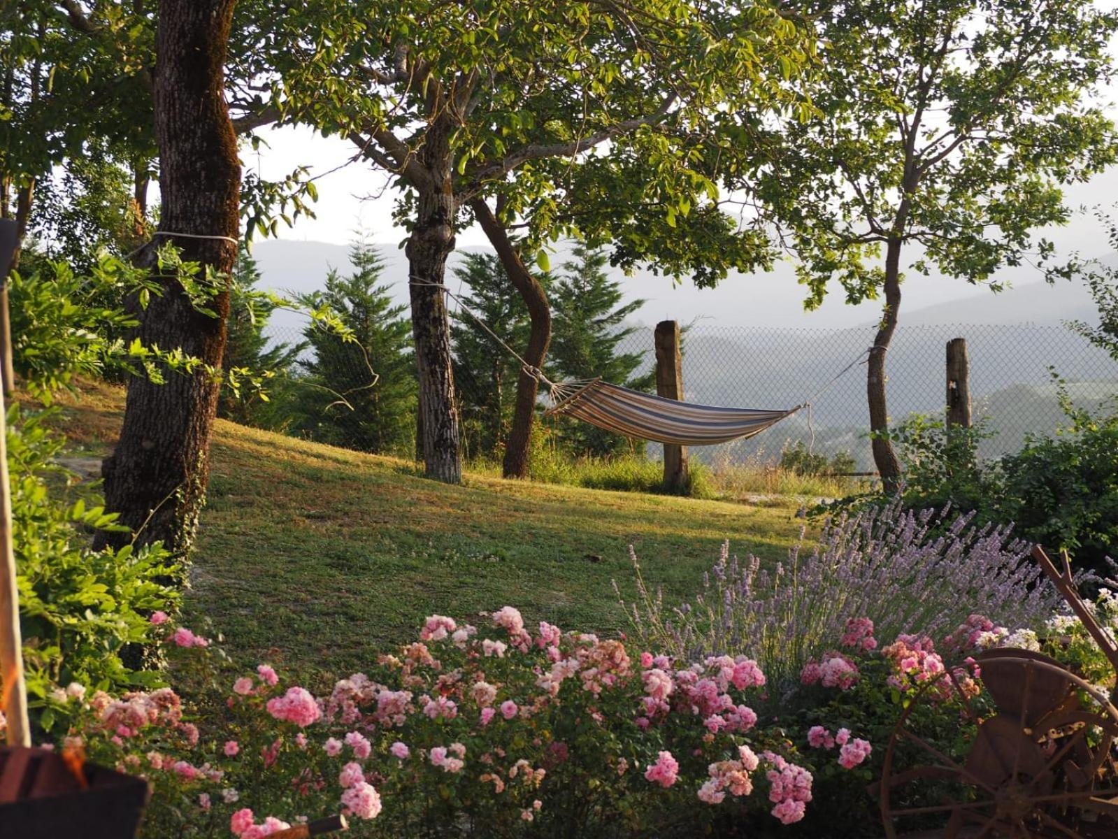 Agriturismo Il Castellaro Sassoferrato Exteriér fotografie
