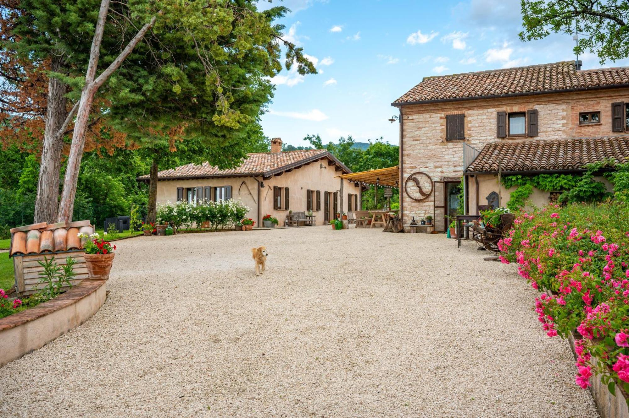 Agriturismo Il Castellaro Sassoferrato Exteriér fotografie