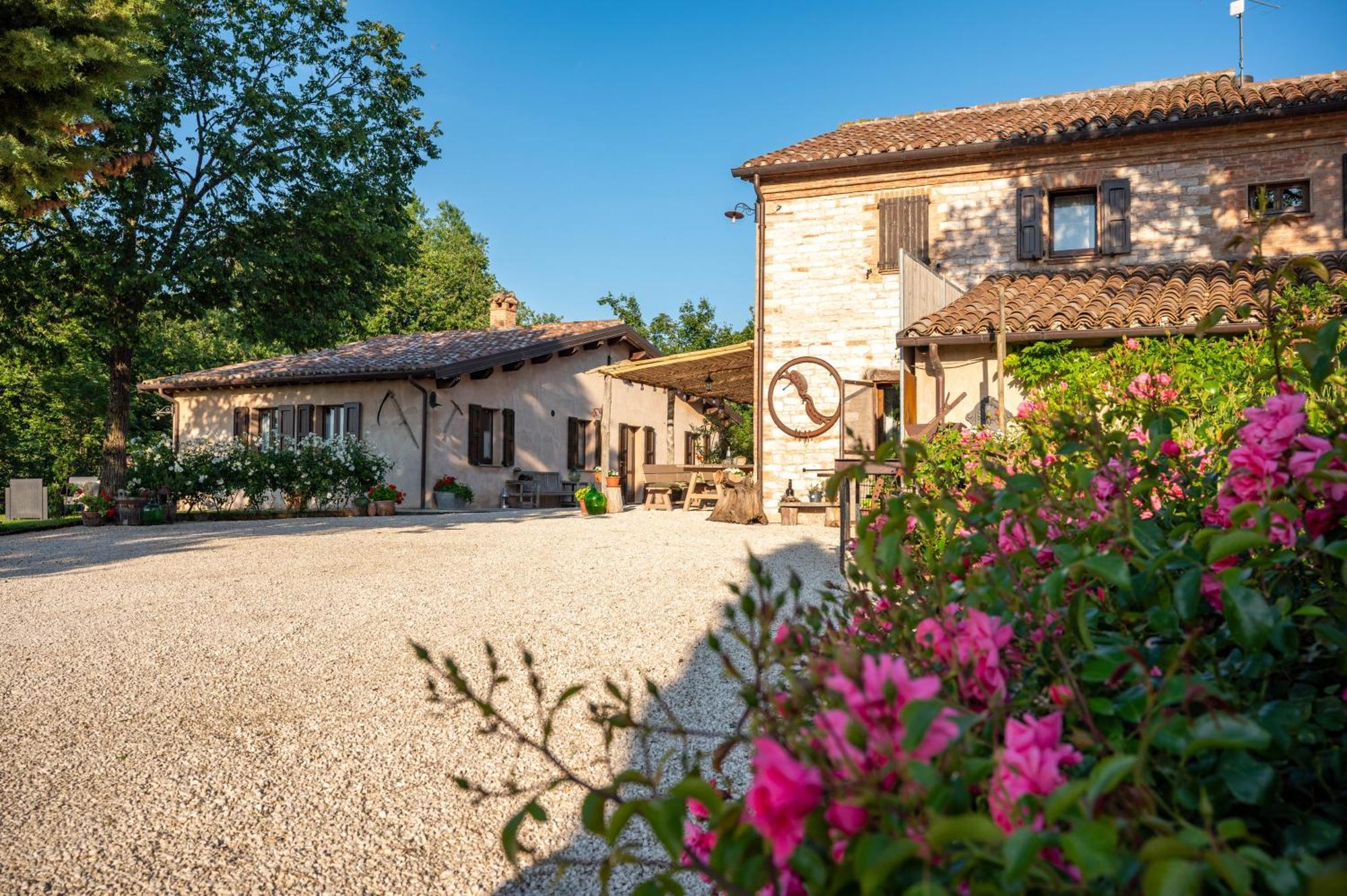 Agriturismo Il Castellaro Sassoferrato Exteriér fotografie